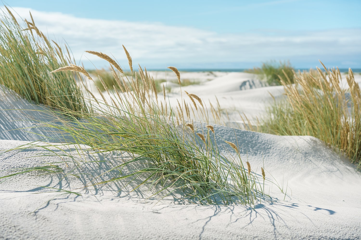 Strand an der Nordsee
